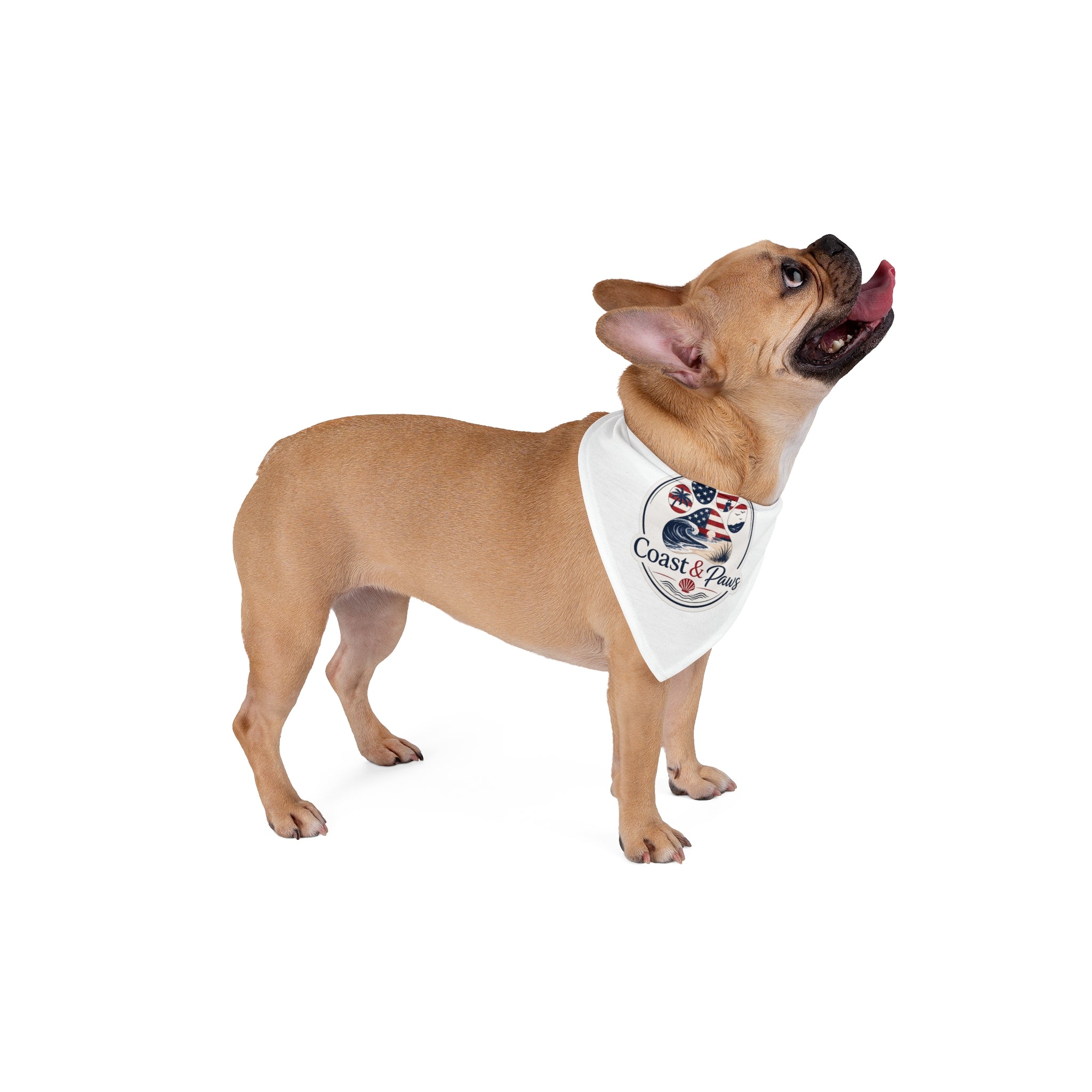 Coast & Paws Patriotic Pet Bandana — Americana Flag Beach Dog Bandana